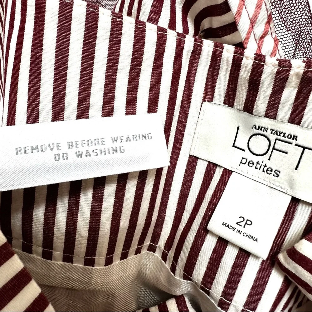 New Powder Pink Brown Striped Skirt‎ A-Line Office Siren School Teacher 3D Artsy